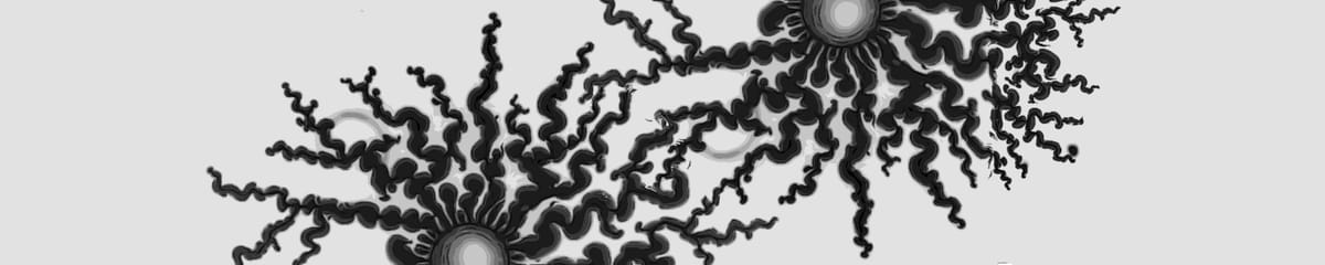 Chapter I - The Subject Arrives in V —