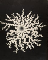 Carissa Knickerbocker